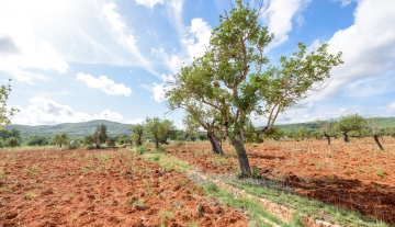 WEB RES-plotesnovells-8.jpg